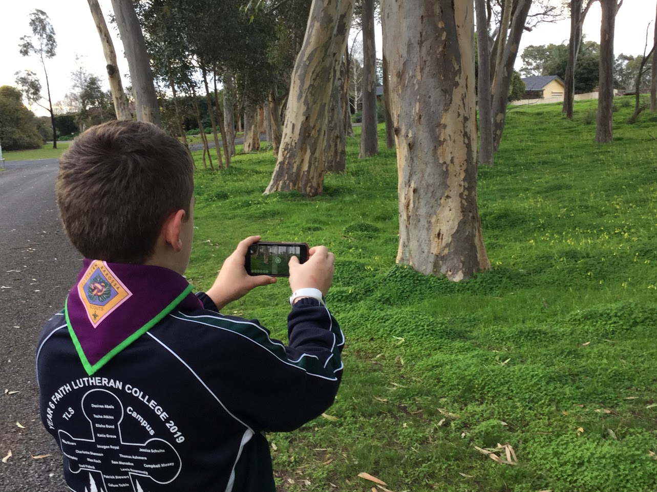 A scout uses the GLOBE Observer app to take a land cover observation