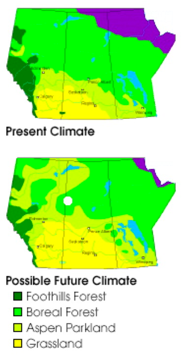 Maps of forests patterns in Canada in the present and with possible future climate changes