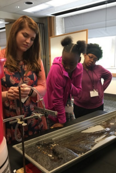 Science activities at the Midwest SRS