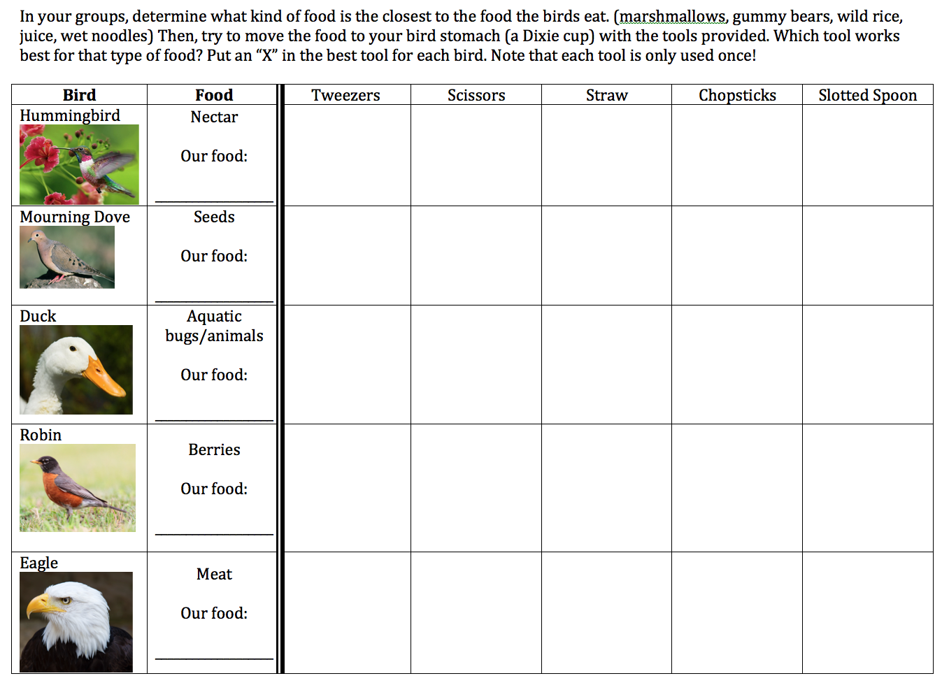 Table showing different kinds of bids and options to see what shape of beak they have.