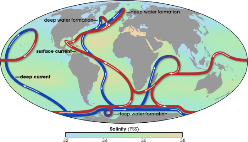 thermohaline circulation