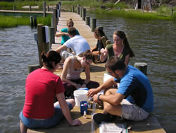 children doing science on water