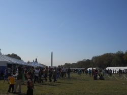 Field with people