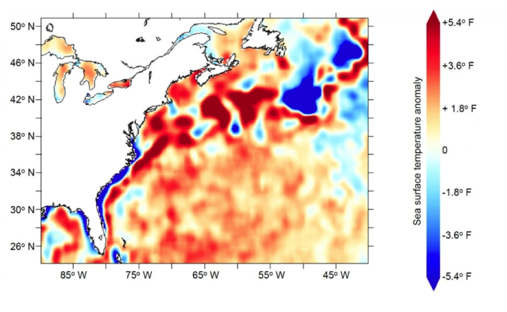 chart of sea surface temperatures from January 2016