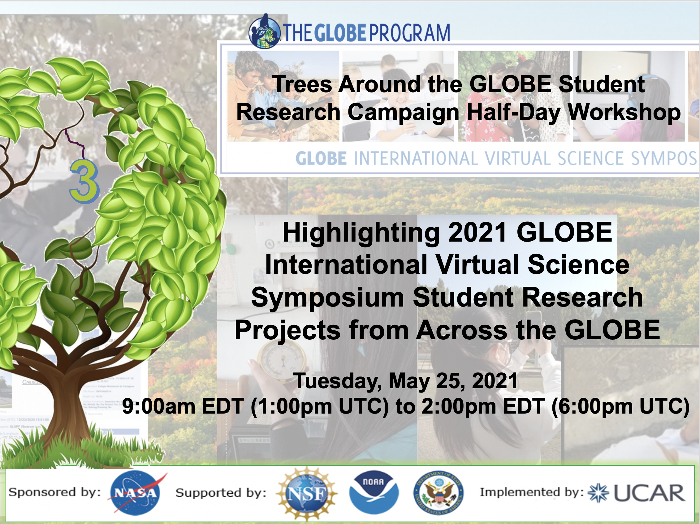 Baobab Tree Meaning In Hindi Kalpavriksha means something in hinduism, sanskrit, jainism, prakrit, marathi, hindi. baobab tree meaning in hindi