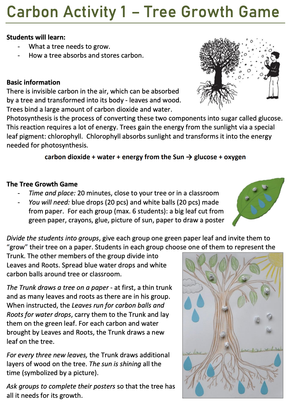 Screen Shot of European Phenology Campaign's Tree Growth Activity