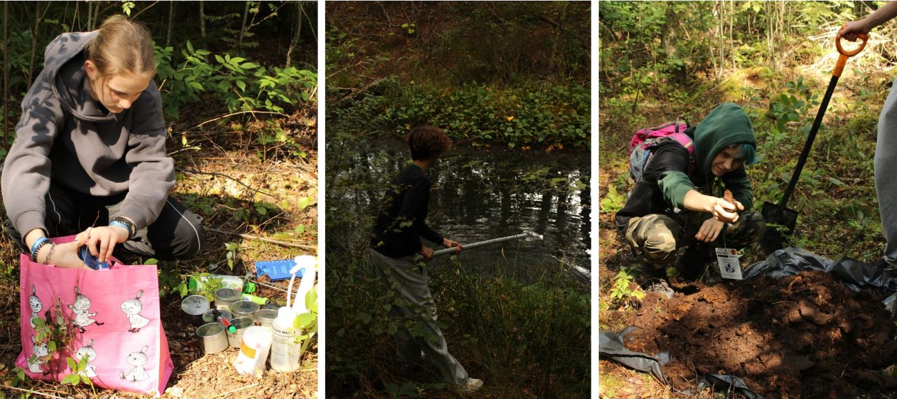 Collage of students doing field research.