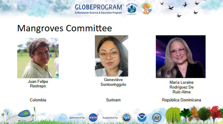Mangroves committee