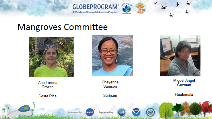 Mangroves committee