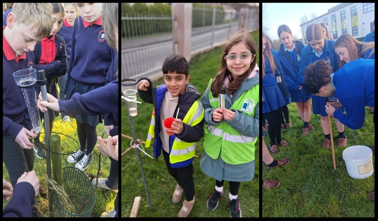 Collage of students taking measurements.