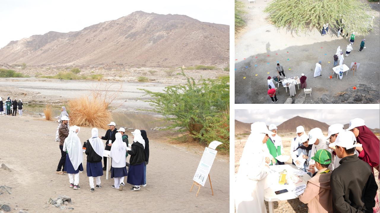 Collage of students participating in GLOBE