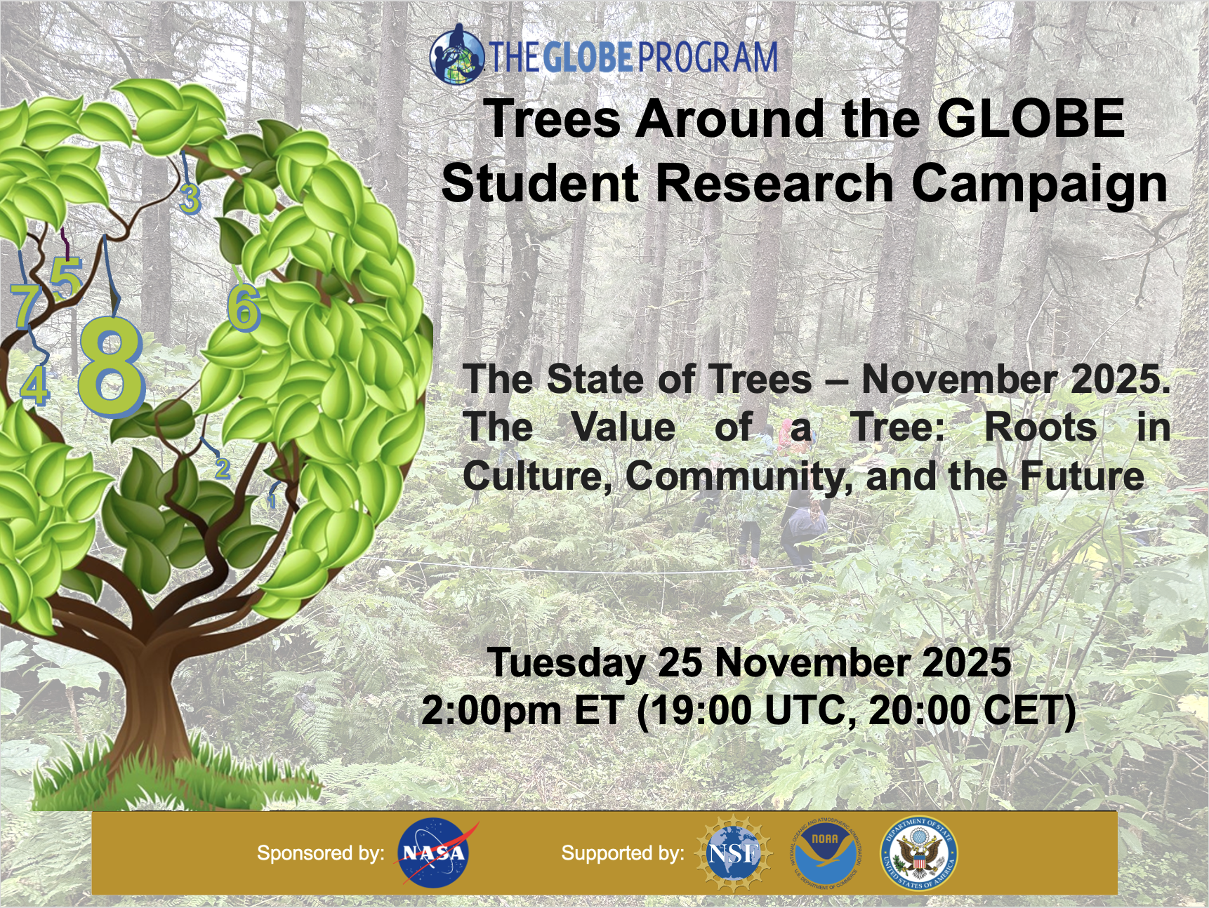 Trees Around the GLOBE Student Research Campaign