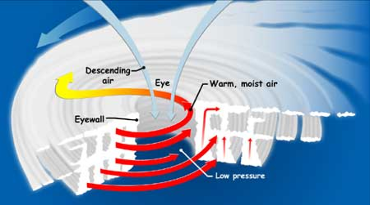 Diagram of the structure of a tropical cyclone.