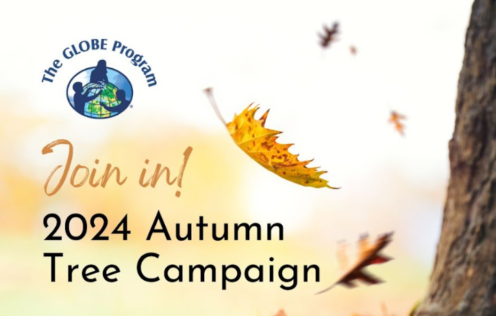 Join us for the fall campaign