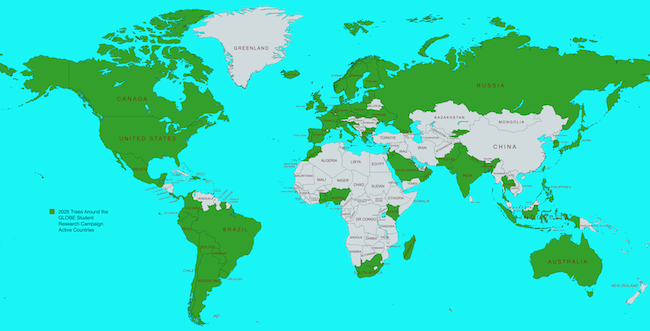 Map of globe with participating countries in the Trees Campaign highlighted