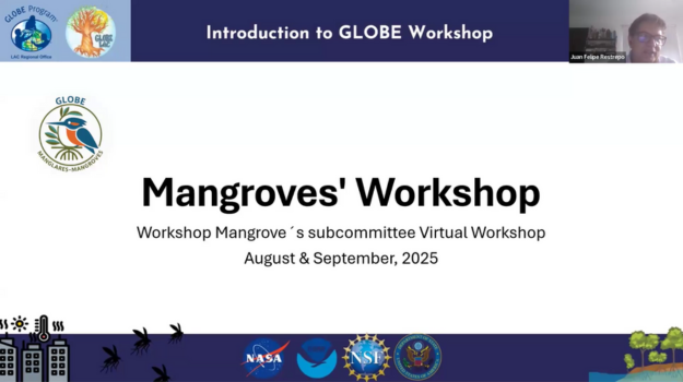 Mangroves workshop title slide
