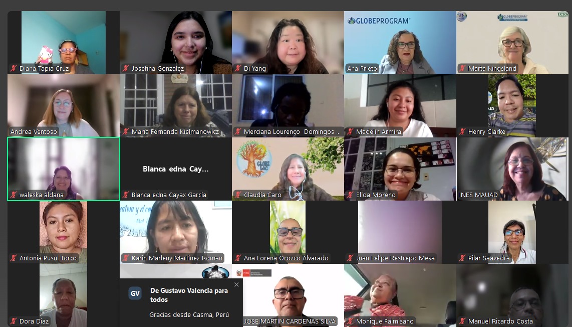 Zoom gallery of attendees.