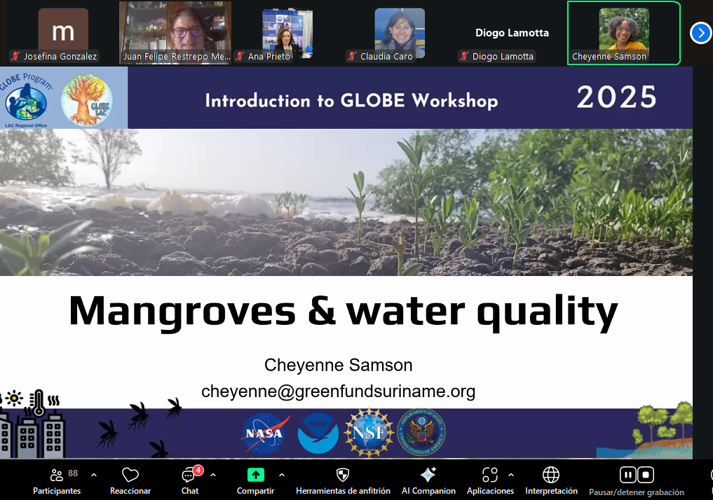 Mangroves and Water Quality