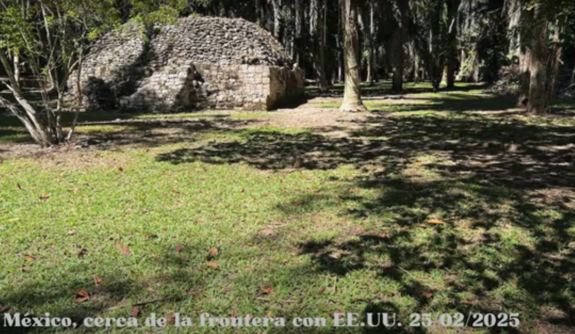 Landscape photo with ruins in the background.