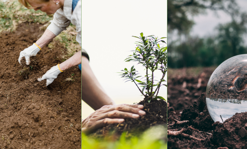  Three photos showing people working in soil 