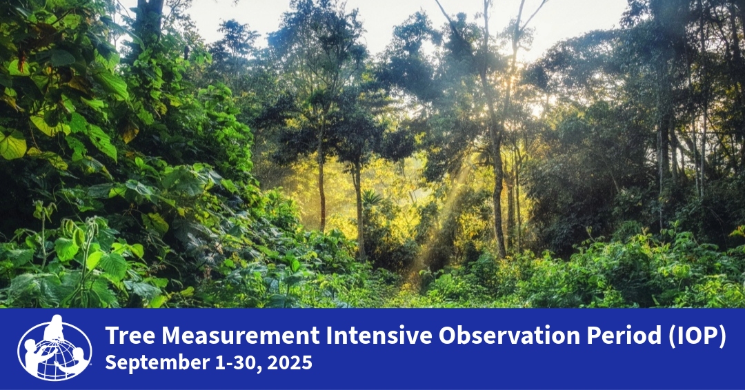 Tree Measurement Intensive Observation Period (IOP) September 1-30, 2025