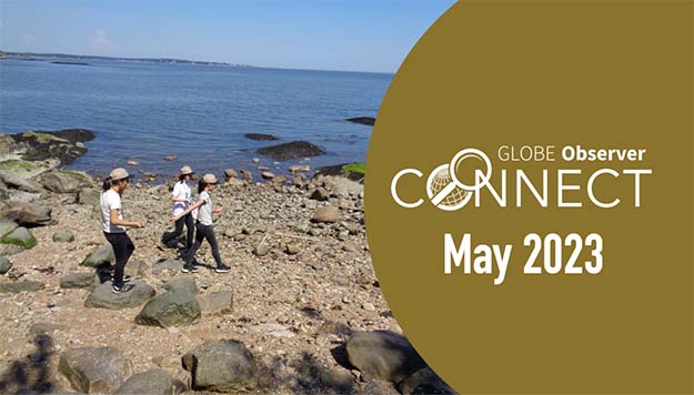 Image of three students walking on a rocky beach next to the GLOBE Observer Connect logo