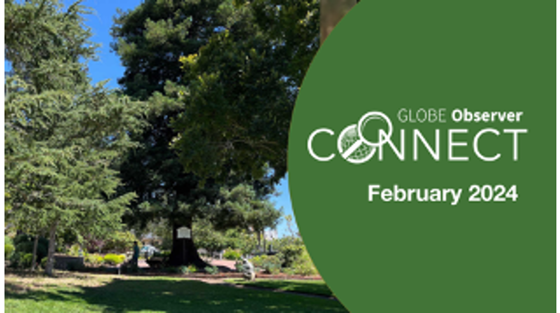   GLOBE Observer Connect event in February