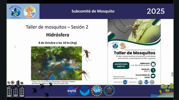 Mosquito workshop title slide