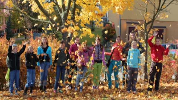   Children playing in autumn leaves