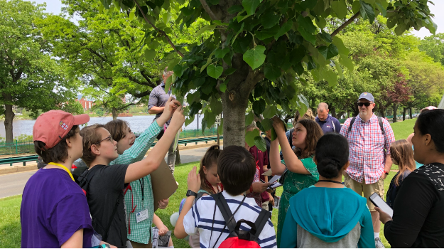   Students observing leaves on a tree