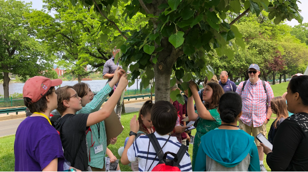   Students studying trees outdoors