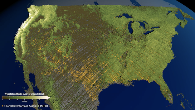  Satellite tree coverage across the contiguous United States