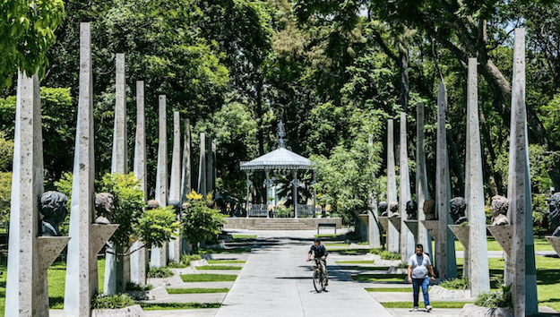   Person riding a bike amongst trees in a park