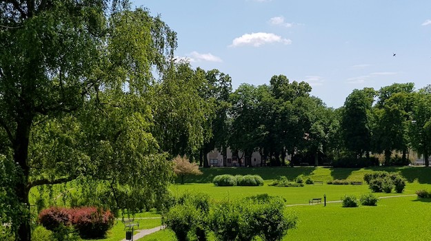   A grassy park with trees in the fore- and backgrounds