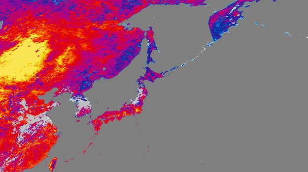   Satellite image of land cover over Japan
