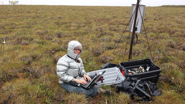 Person sitting in grass outside collecting data.