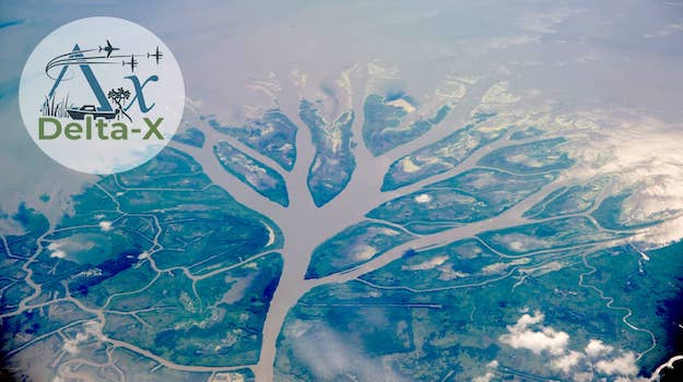 Satellite image of a river delta