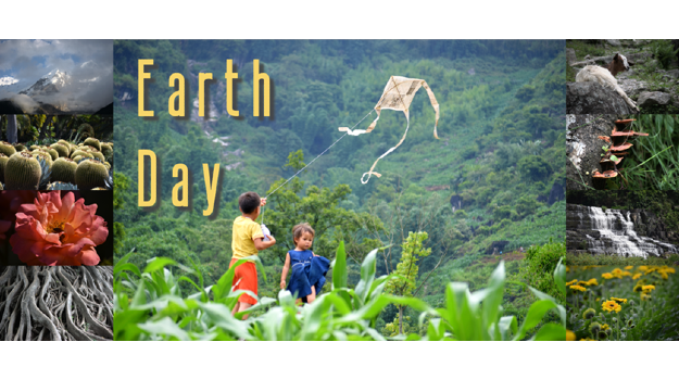   Kids playing with kites on a grassy hill