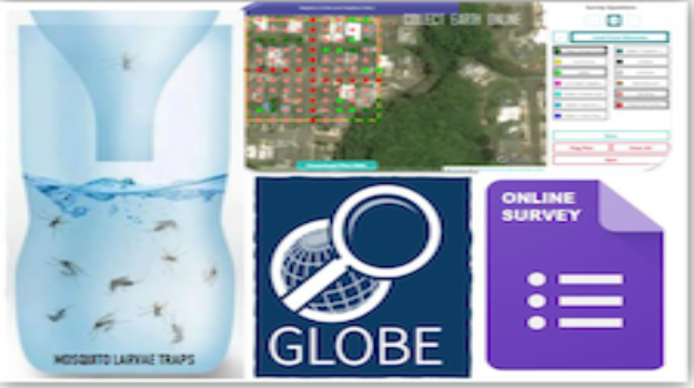   GLOBE IVSS graphic