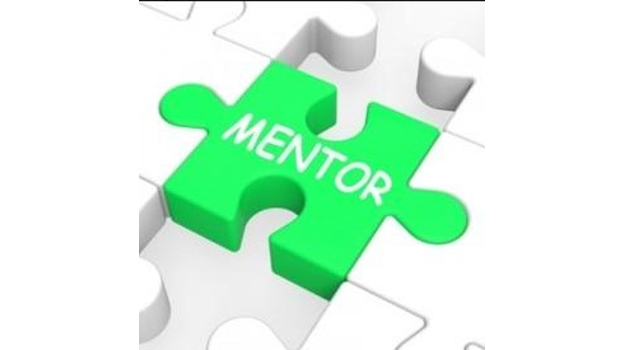   Bright green puzzle piece that says "Mentor"