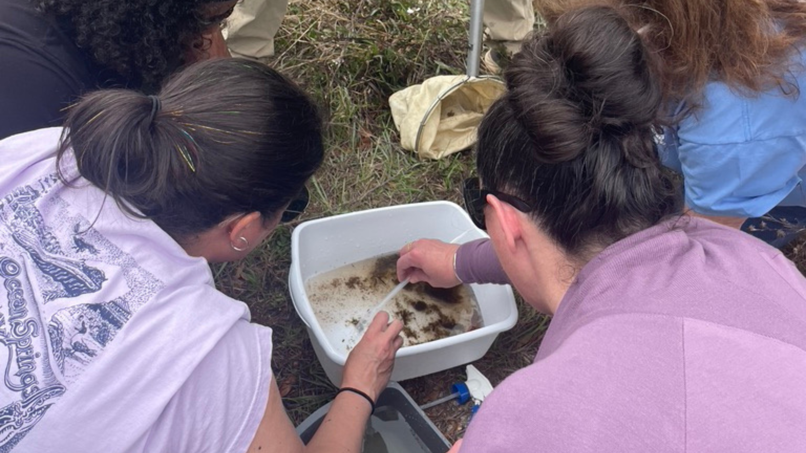 Educators at an AMSTI hydrology training workshop search for macroinvertebrates.