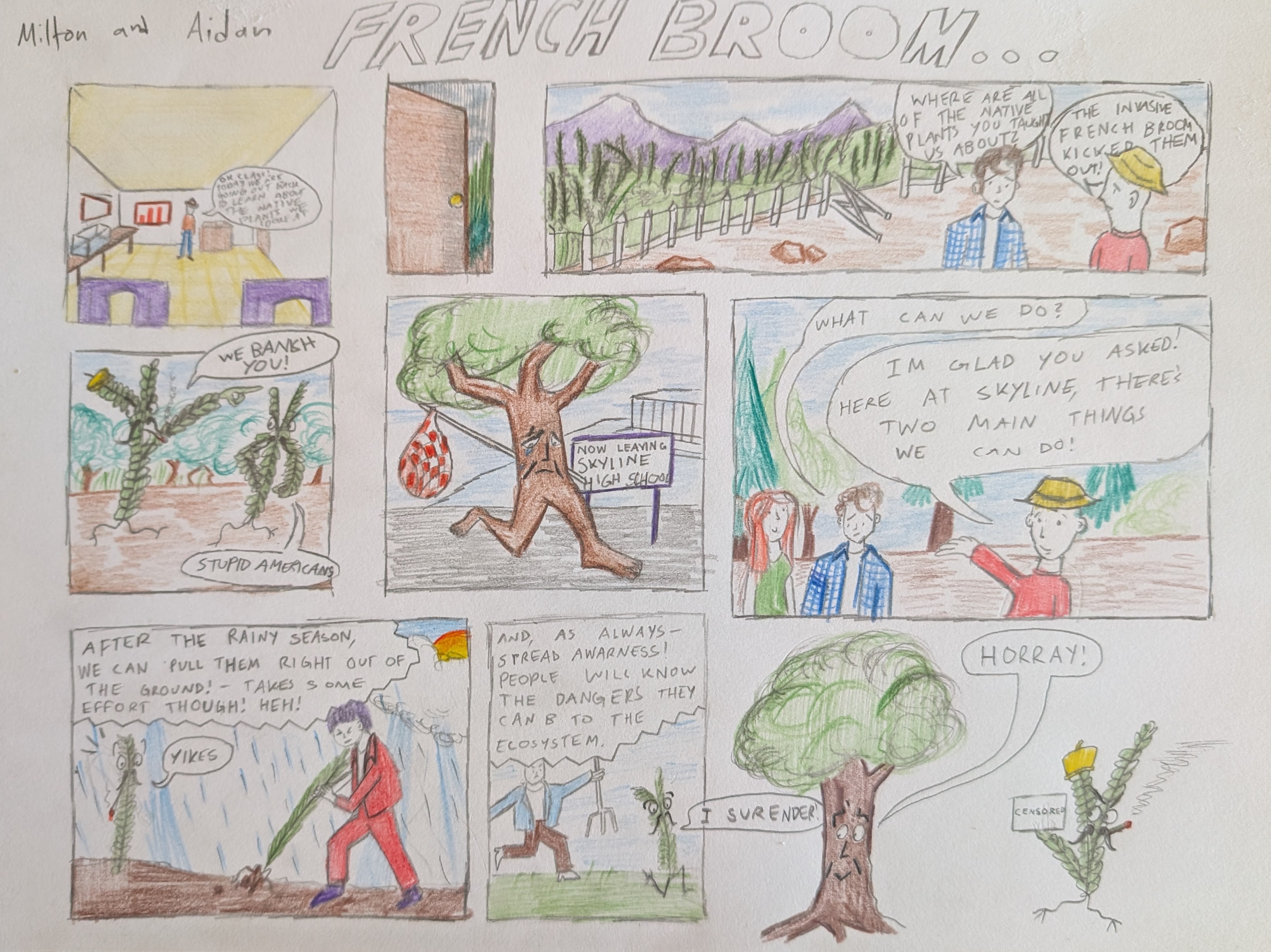 French Broom Comic