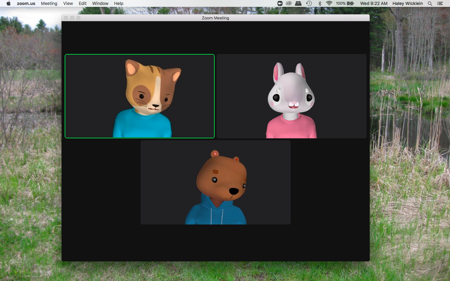 A screenshot of a desktop screen with three cartoon avatars: a bunny, bear and cat. 