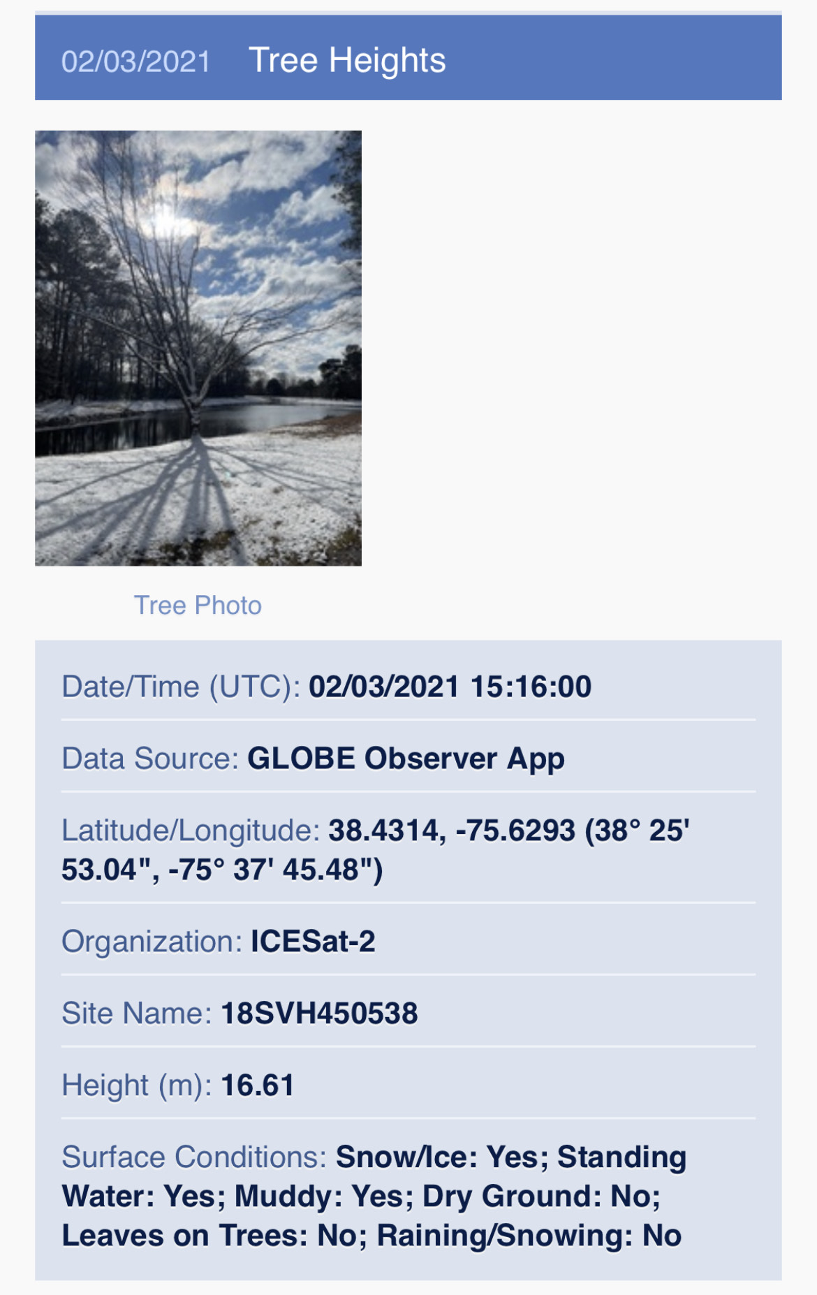 Tree Height from February 3, 2021 using NASA GLOBE Observer