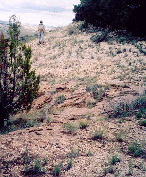 Reddish-brown rock layer exposed by a stream