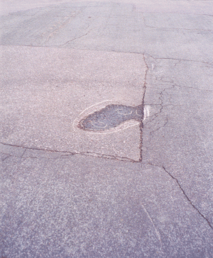 The puddle and its environment