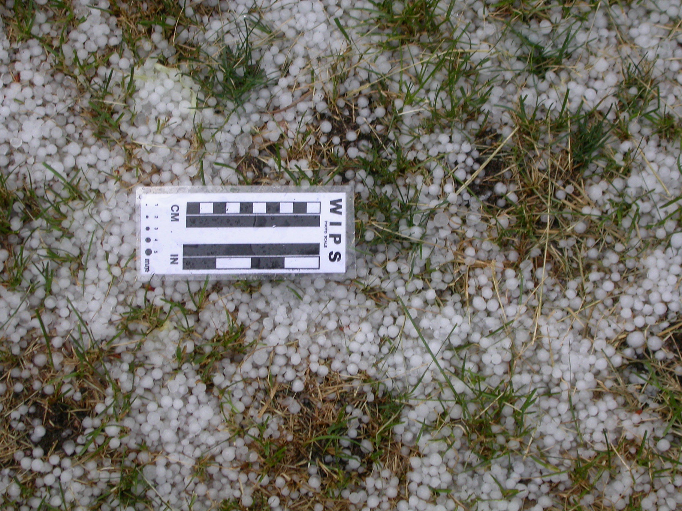 dscn0551.JPG