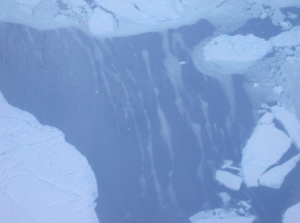 Finding an answer to the melting of snow and ice in such places as Greenland is one of the main hopes for the summit. Picture taken in Ellesmere Island, Canada (78.52°N, 76.43°W; 93 km west of Greenland) 8 April 2008 during a research flight on NASA P-3B aircraft by Charles Gatebe.