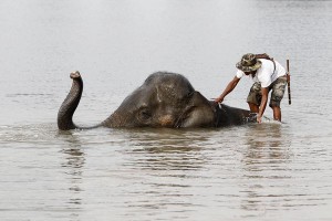 Image of India flooding