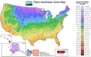 Map of plant hardiness in the United States